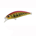 Isca Minnow