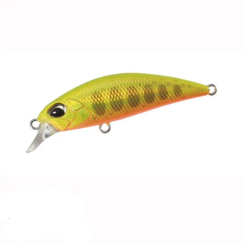 Isca Minnow