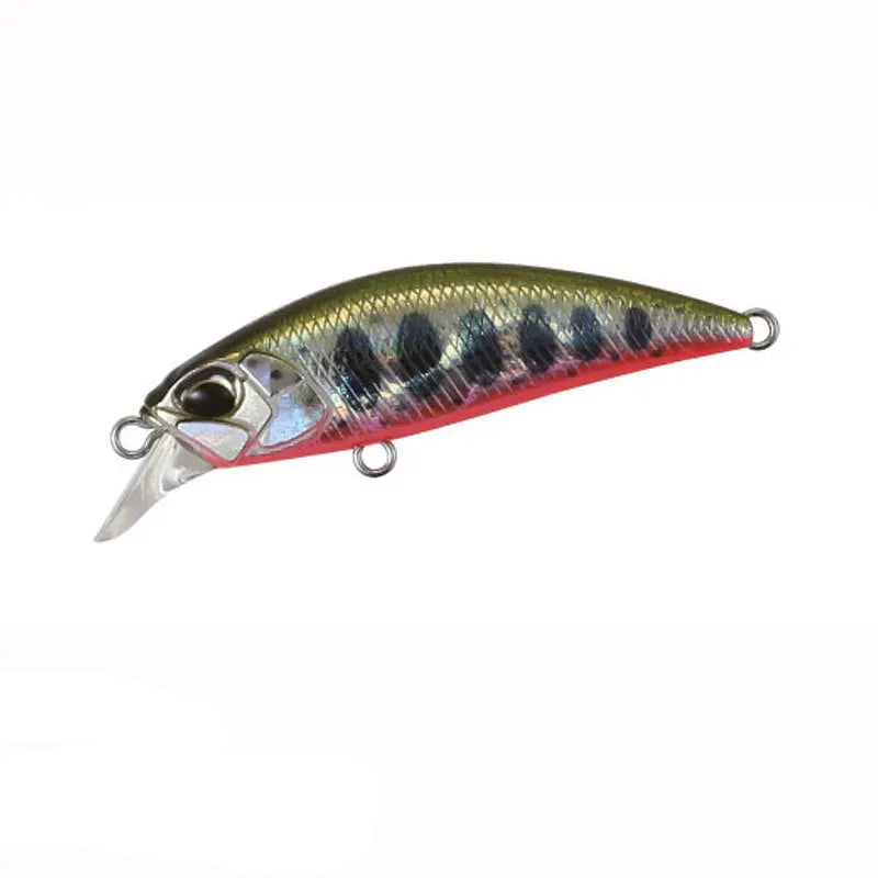 Isca Minnow