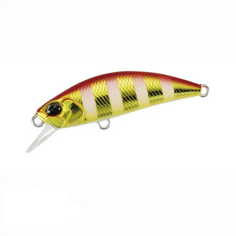 Isca Minnow