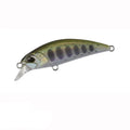 Isca Minnow