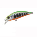 Isca Minnow