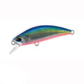 Isca Minnow