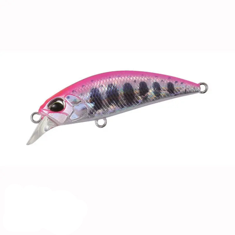 Isca Minnow