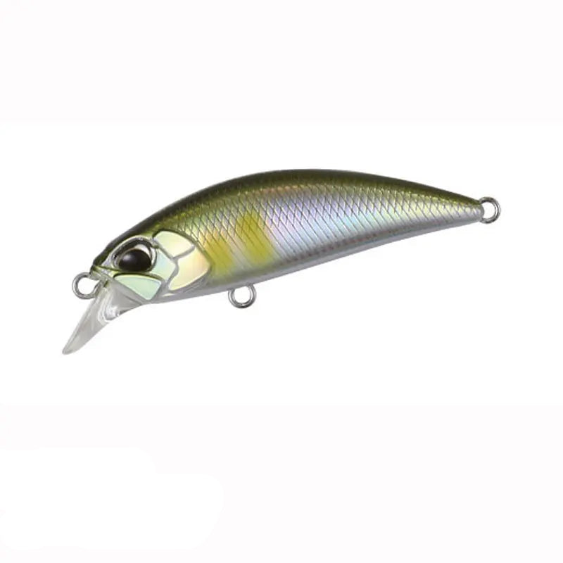 Isca Minnow